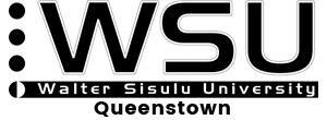 wsu_queenstown_logo